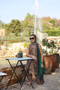 Noor by Saadia Asad | Luxe Chikankari 25 | D2-A - House Of Hania