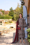 Noor by Saadia Asad | Luxe Chikankari 25 | D2-B - House Of Hania