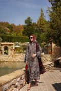 Noor by Saadia Asad | Luxe Chikankari 25 | D2-B - House Of Hania