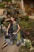 Noor by Saadia Asad | Luxe Chikankari 25 | D3-B - House Of Hania