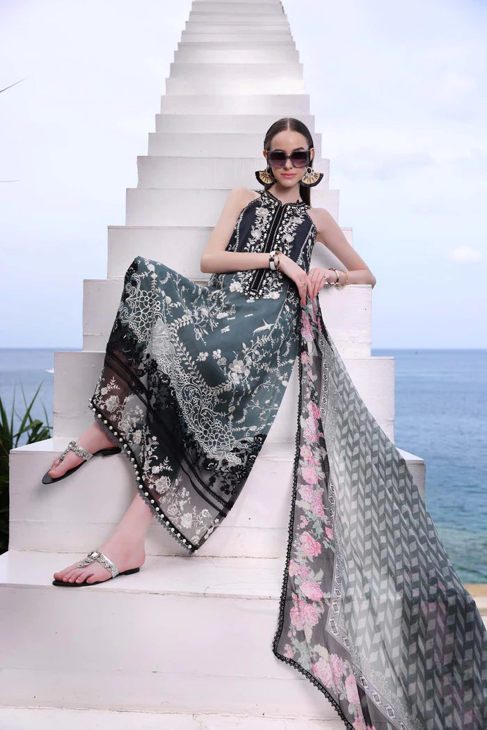 Noor by Saadia Asad | Luxe Printkari 24 | D2-B - House Of Hania