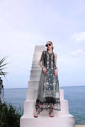 Noor by Saadia Asad | Luxe Printkari 24 | D2-B - House Of Hania