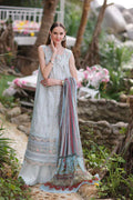 Noor by Saadia Asad | Luxe Printkari 24 | D3-B - House Of Hania