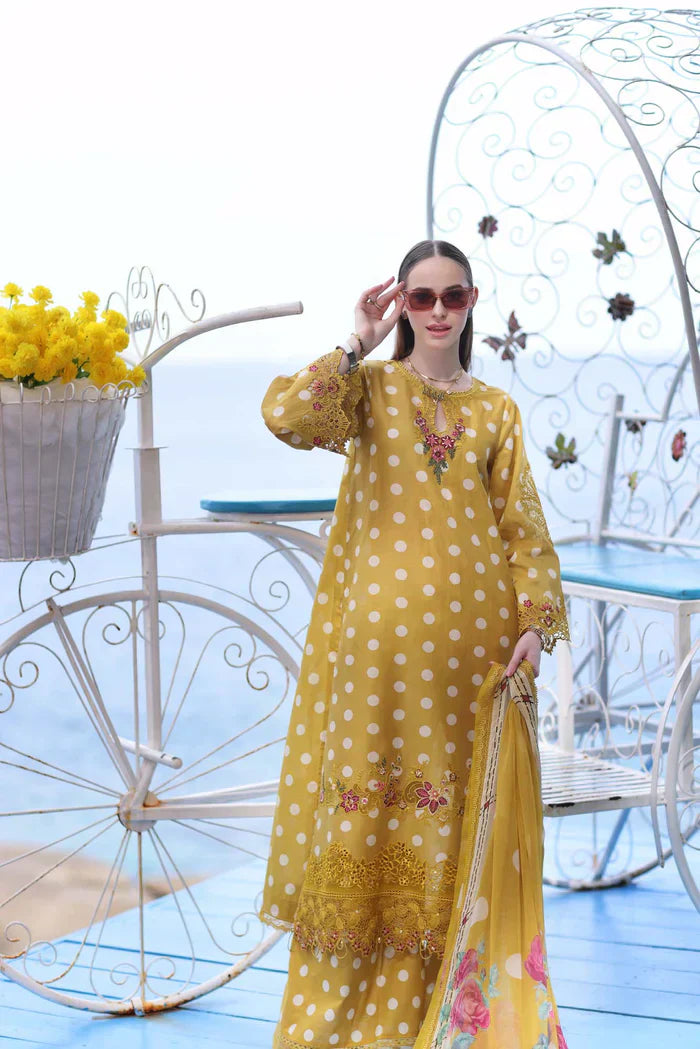 Noor by Saadia Asad | Luxe Printkari 24 | D6-B - House Of Hania