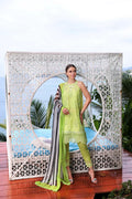Noor by Saadia Asad | Luxe Printkari 24 | D8-B - House Of Hania