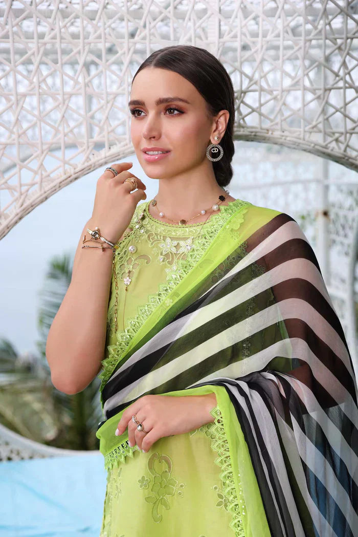 Noor by Saadia Asad | Luxe Printkari 24 | D8-B - House Of Hania