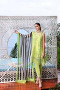 Noor by Saadia Asad | Luxe Printkari 24 | D8-B - House Of Hania