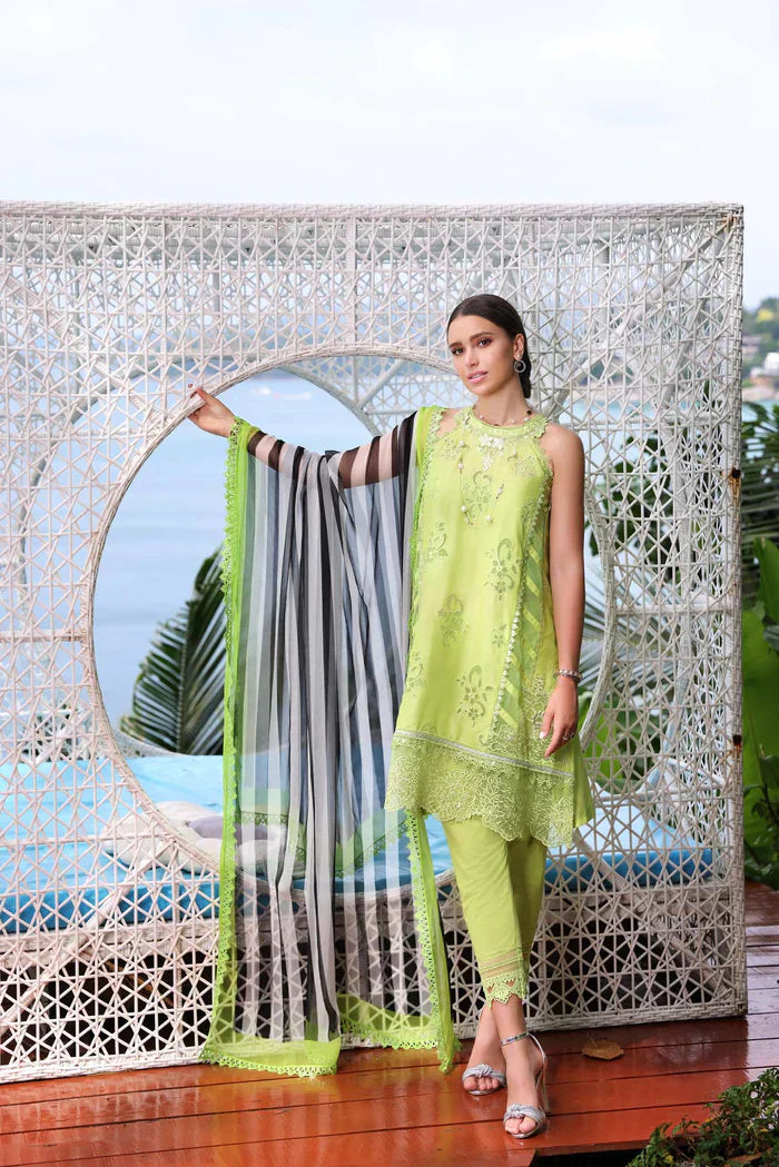 Noor by Saadia Asad | Luxe Printkari 24 | D8-B - House Of Hania