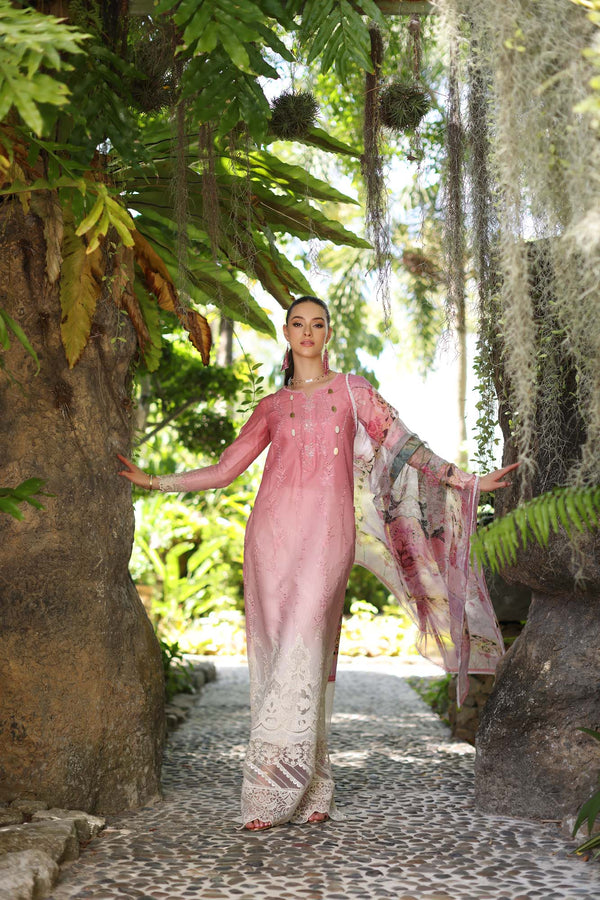 Noor by Saadia Asad | Luxury Chikankari Lawn24 | D1-A Pink Ombre - House Of Hania