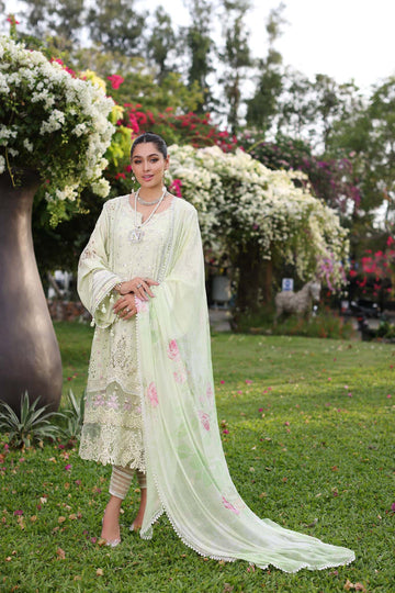 Noor by Saadia Asad | Luxury Chikankari Lawn24 | D11-B Mint Schifli - House Of Hania