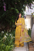 Noor by Saadia Asad | Luxury Chikankari Lawn24 | D8-B Mustard - House Of Hania