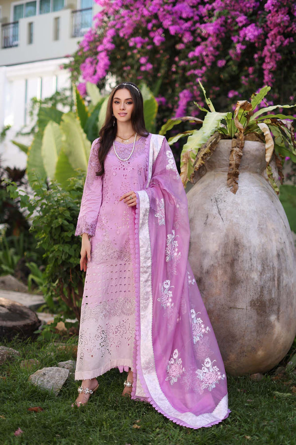 Noor by Saadia Asad | Luxury Chikankari Lawn24 | D9-A Pink - House Of Hania