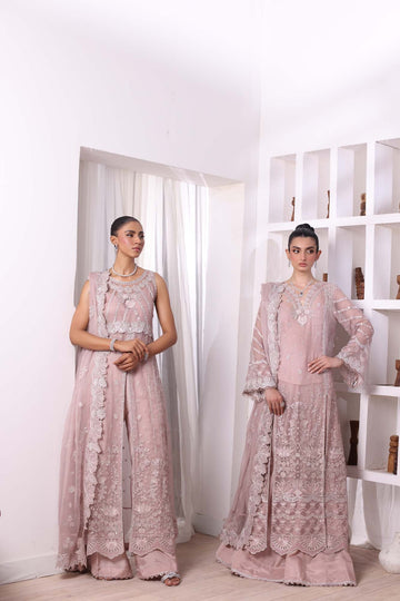Noor by Saadia Asad | Noor Chiffon De Luxe | D3 - House Of Hania