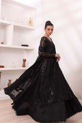 Noor by Saadia Asad | Noor Chiffon De Luxe | D4 - House Of Hania