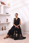 Noor by Saadia Asad | Noor Chiffon De Luxe | D4 - House Of Hania