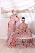 Noor by Saadia Asad | Noor Chiffon De Luxe | D6 - House Of Hania