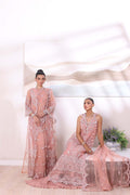 Noor by Saadia Asad | Noor Chiffon De Luxe | D6 - House Of Hania