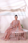 Noor by Saadia Asad | Noor Chiffon De Luxe | D6 - House Of Hania