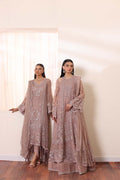 Noor by Saadia Asad | Noor Chiffon De Luxe | D7 - House Of Hania