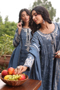 Noor by Saadia Asad | Suzaankari Winter 24 | D03 - House Of Hania