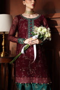 Nureh | Alfaaz Formals | NL-90 - House Of Hania