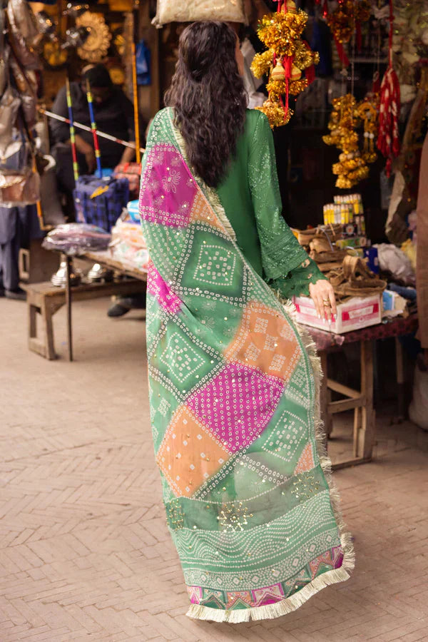 Nureh | Bazaar Lawn Chikankari 24 | NS-126 - House Of Hania
