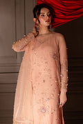 Nureh | Fancy Formal Pret | TW-13 - House Of Hania