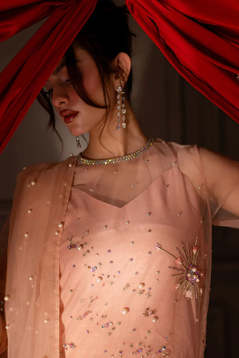 Nureh | Fancy Formal Pret | TW-13 - House Of Hania