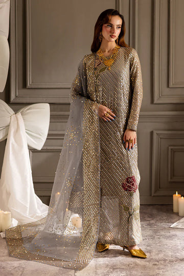 Nureh | Fancy Formal Pret | TW-16 - House Of Hania