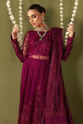 Nureh | Jhoomro Wedding Formals | NL-56 - ANARI - House Of Hania