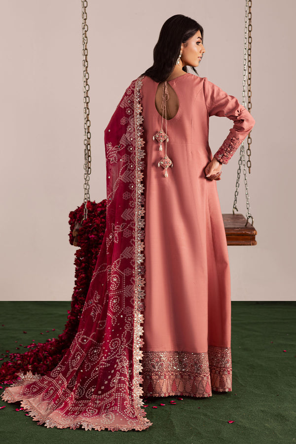 Nureh | Jugni Festive | NP-696 - House Of Hania