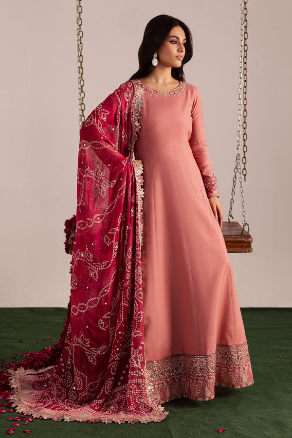 Nureh | Jugni Festive | NP-696 - House Of Hania