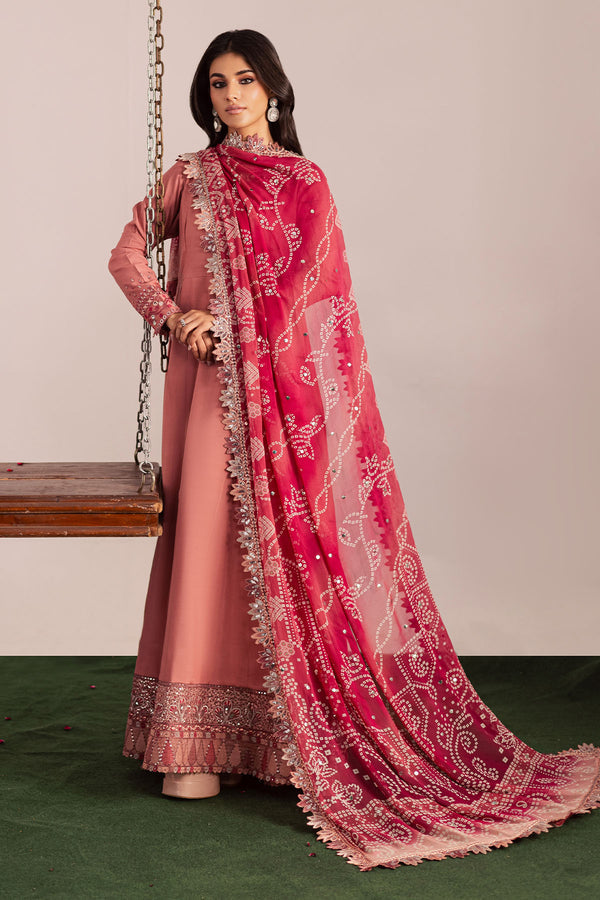Nureh | Jugni Festive | NP-696 - House Of Hania