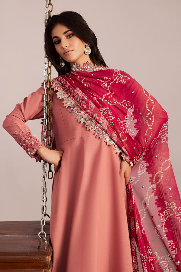 Nureh | Jugni Festive | NP-696 - House Of Hania