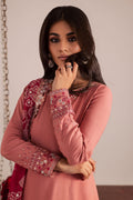 Nureh | Jugni Festive | NP-696 - House Of Hania