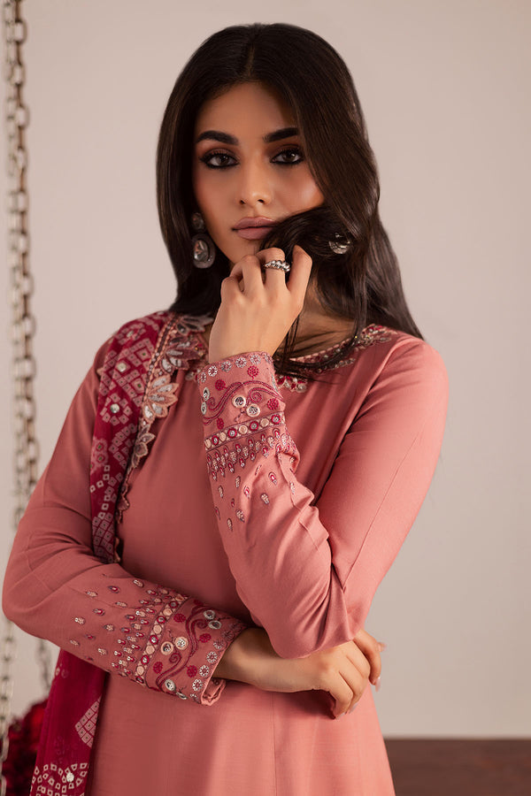 Nureh | Jugni Festive | NP-696 - House Of Hania