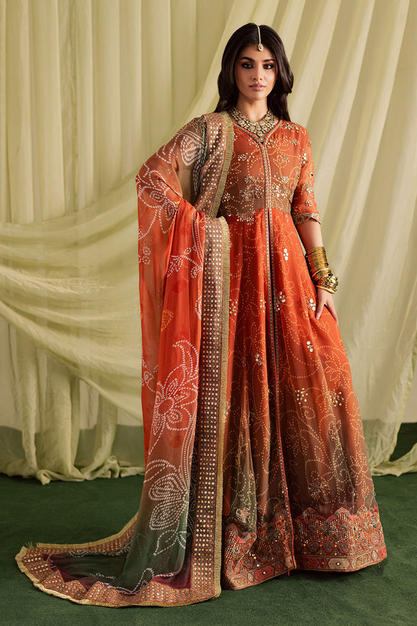 Nureh | Jugni Festive | NP-697 - House Of Hania