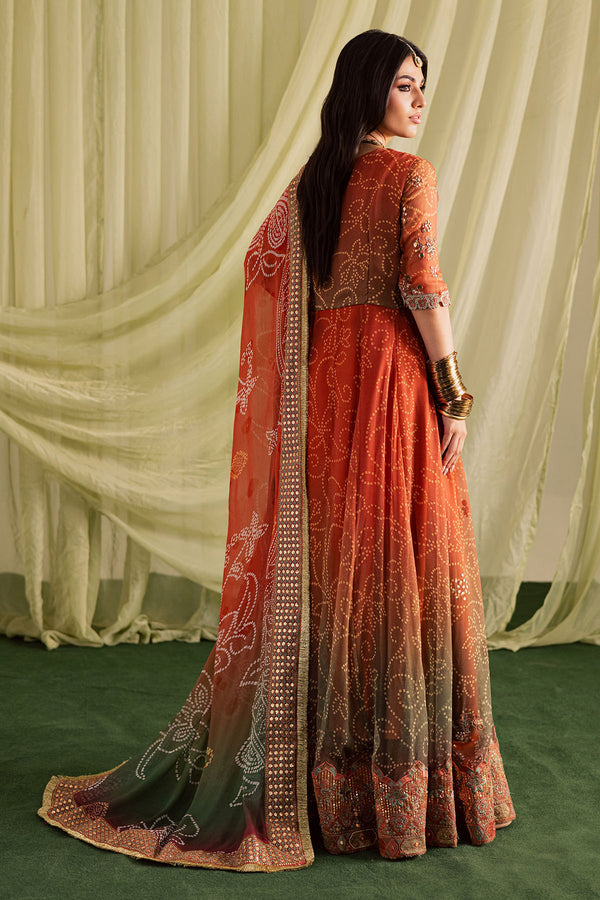 Nureh | Jugni Festive | NP-697 - House Of Hania