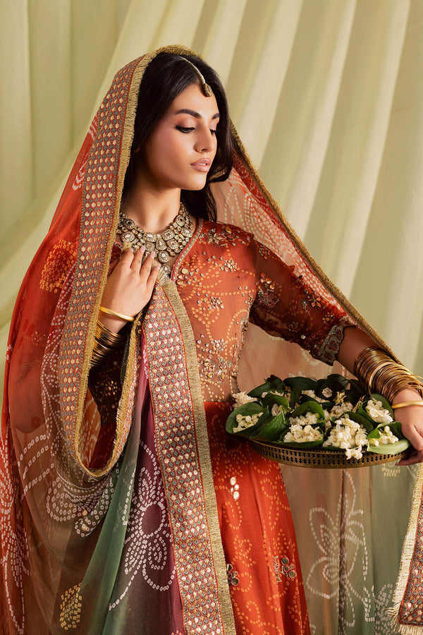Nureh | Jugni Festive | NP-697 - House Of Hania