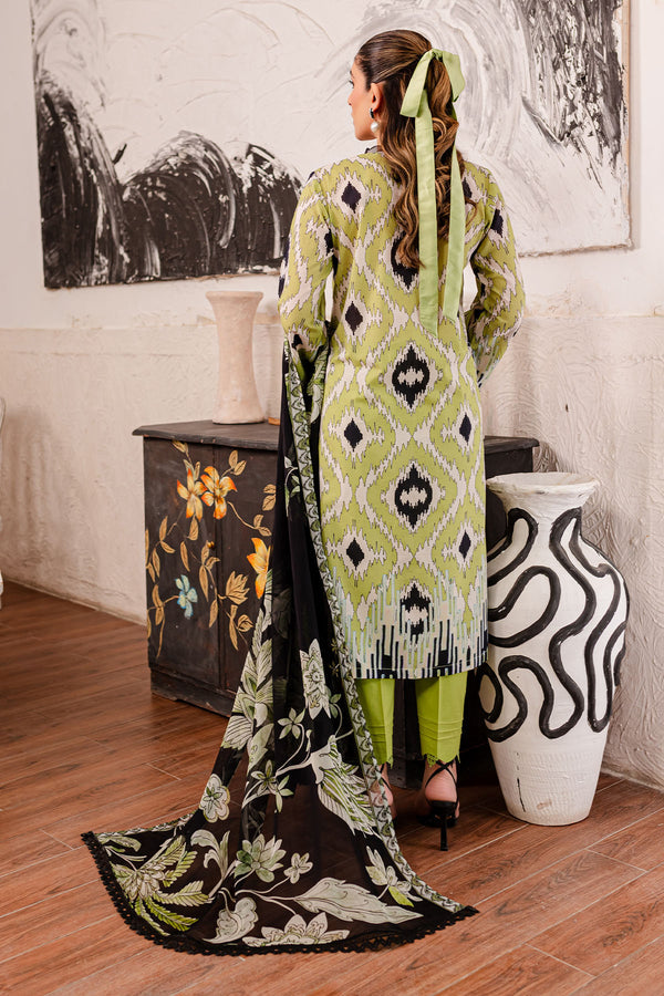 Nureh | Printed Lawn | SP-101 - House Of Hania