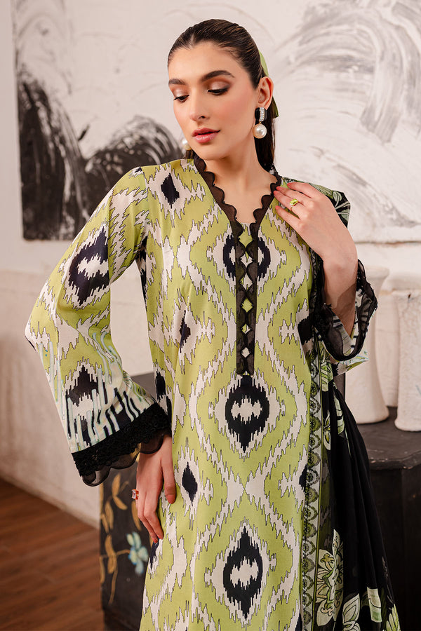 Nureh | Printed Lawn | SP-101 - House Of Hania