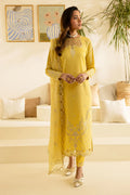 Nureh | Shades Of Summer | NP-609 - House Of Hania