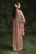 Nureh | Wedding Formals 24 | Sheer Pink - House Of Hania