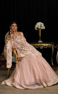 Organza Cape with Skirt - House Of Hania