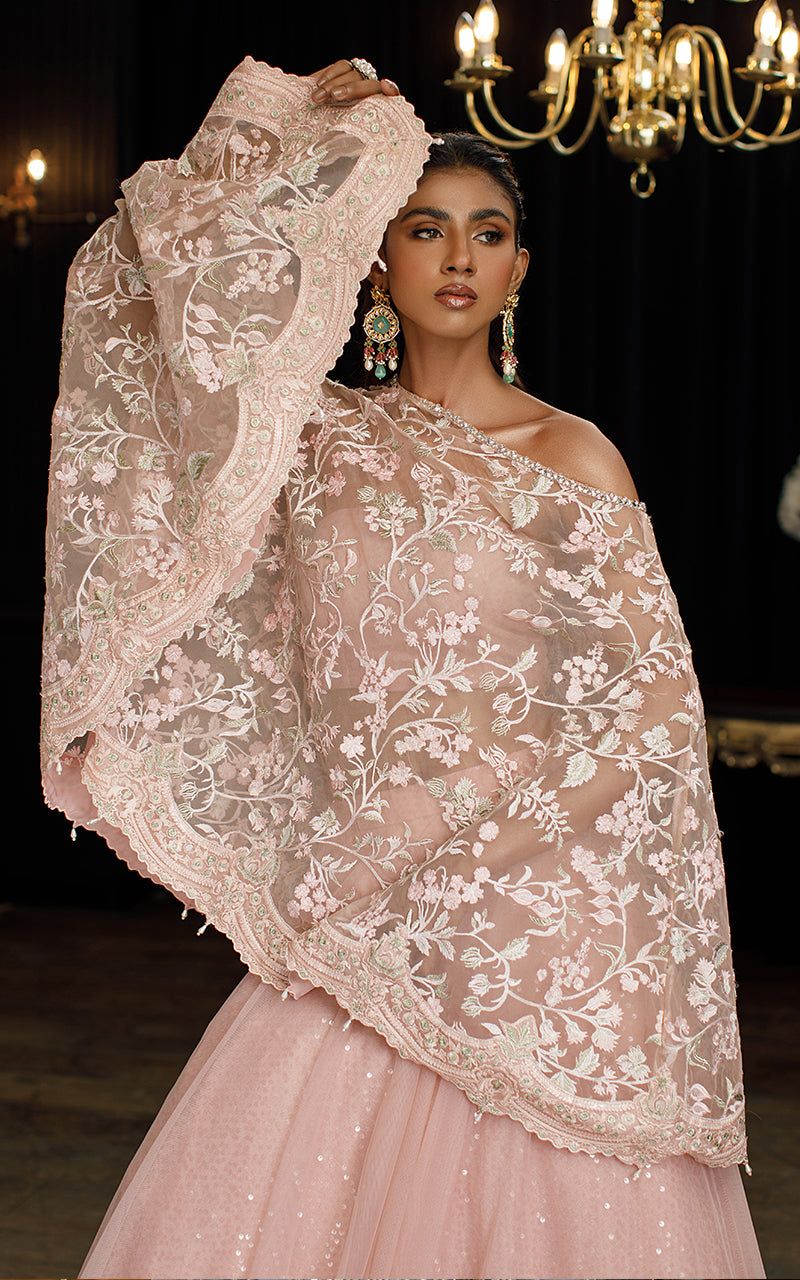 Organza Cape with Skirt - House Of Hania
