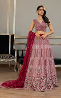 Organza Embroidered Blouse and Lehanga - House Of Hania