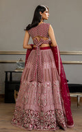 Organza Embroidered Blouse and Lehanga - House Of Hania