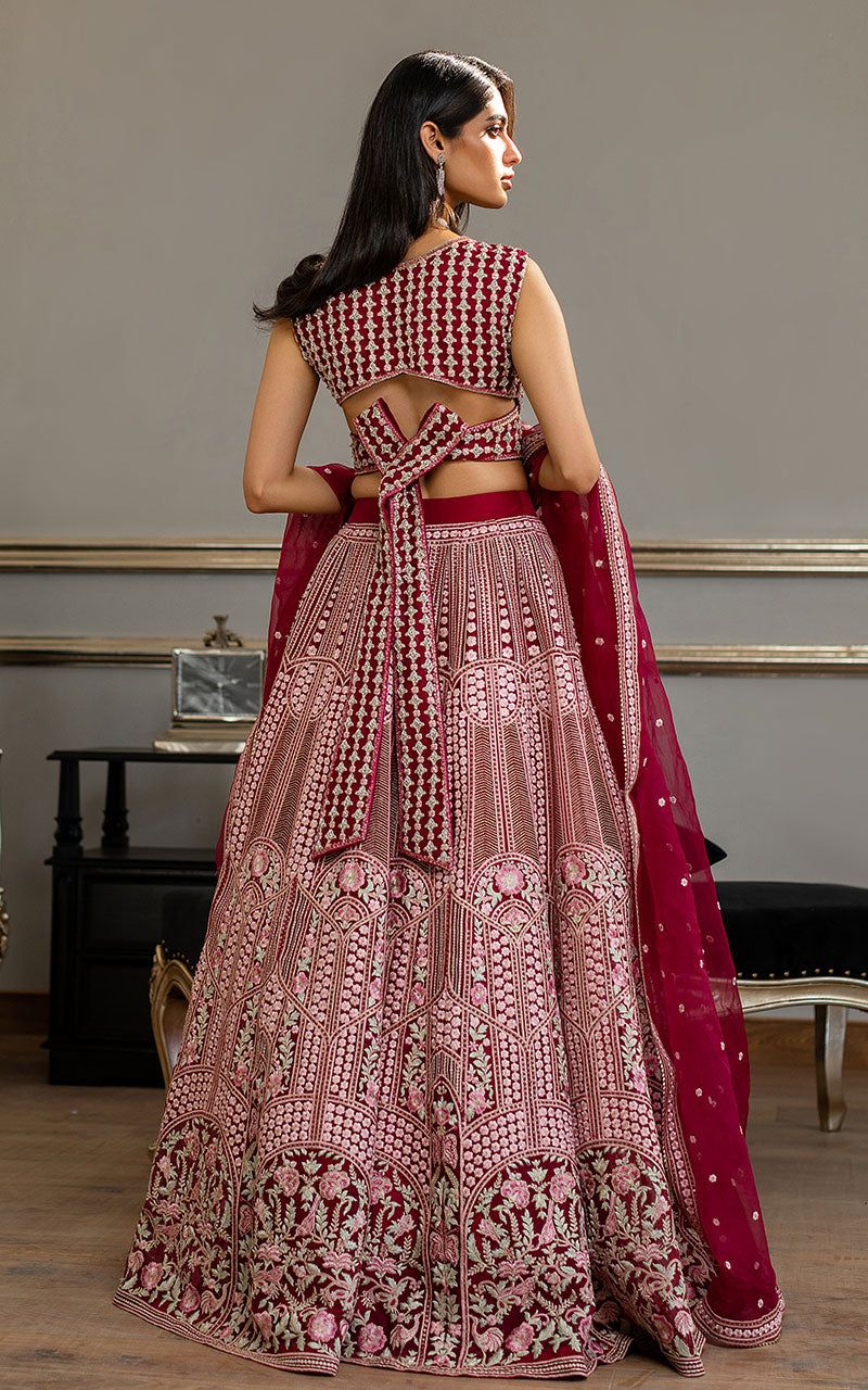 Organza Embroidered Blouse and Lehanga - House Of Hania