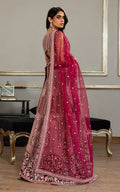 Organza Embroidered Blouse and Lehanga - House Of Hania