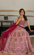 Organza Embroidered Blouse and Lehanga - House Of Hania